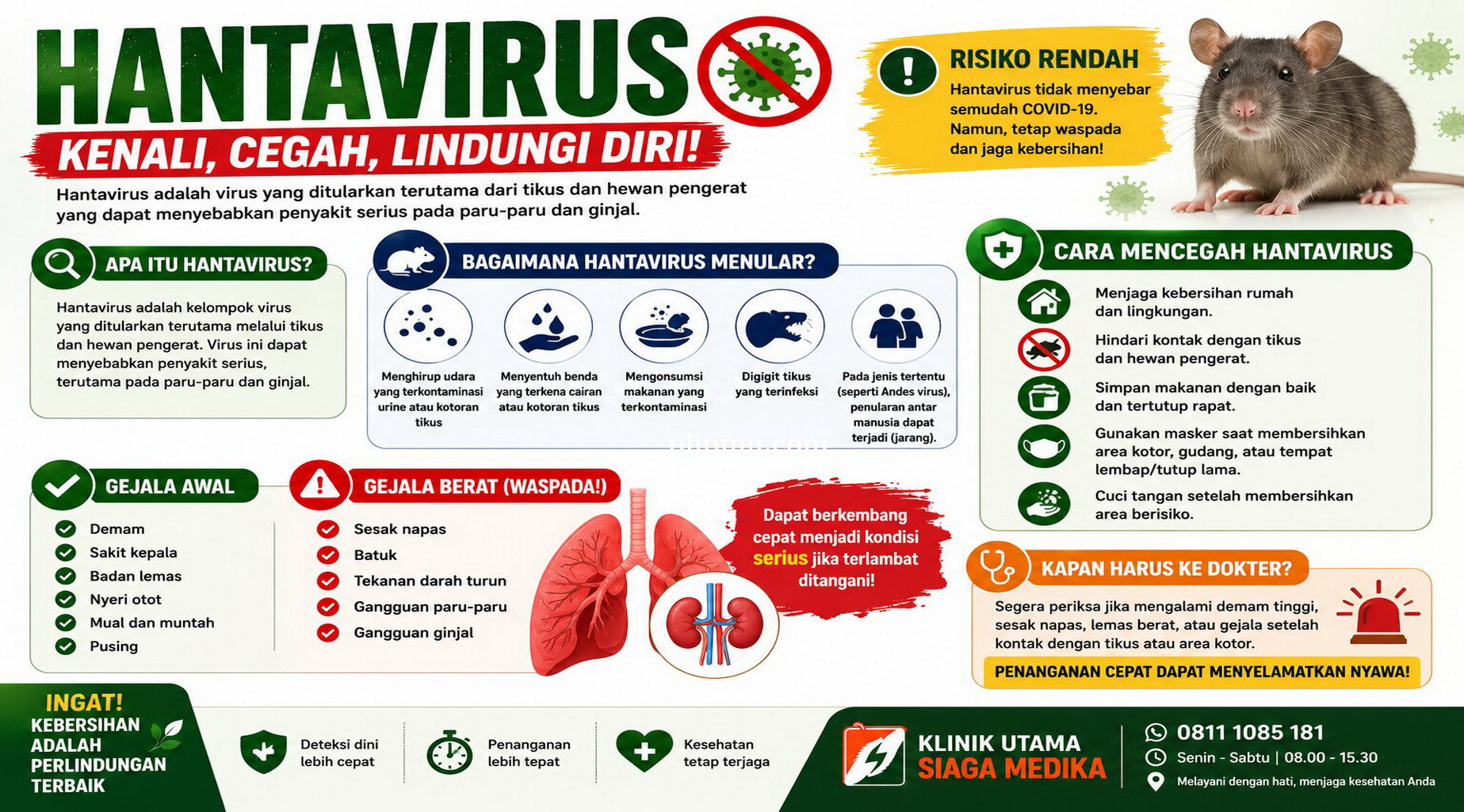 Hantavirus.jpg